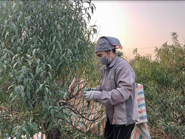 Vat la ra tien: Cong viec don gian kiem them thu nhap it nguoi biet