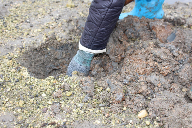 Can canh di san sa sung kiem tien trieu moi ngay-Hinh-4