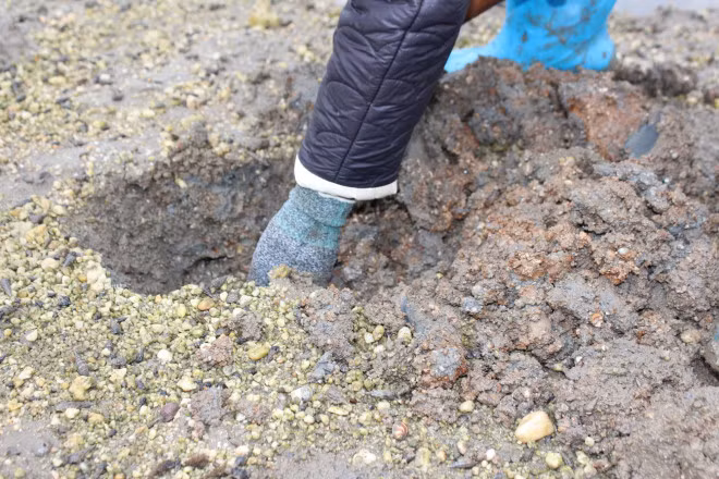 Can canh di san sa sung kiem tien trieu moi ngay-Hinh-4