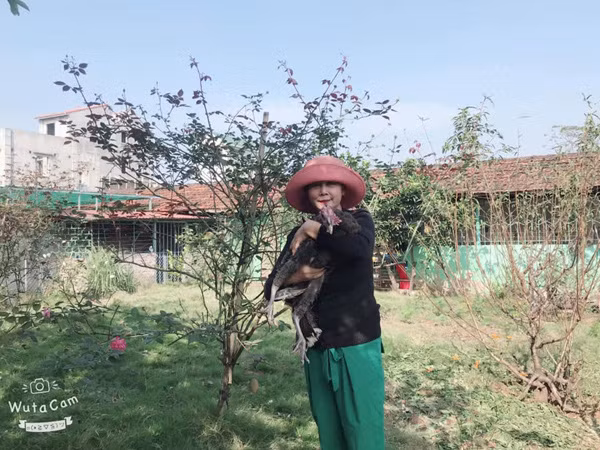 NSND Minh Hang: Tai hoa hiem gap nhung duong chong con lai khong may man-Hinh-5