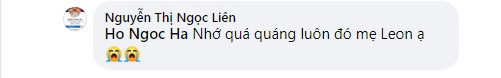 Ho Ngoc Ha nhac nho nguoi than khi goi sai ten quy tu-Hinh-3