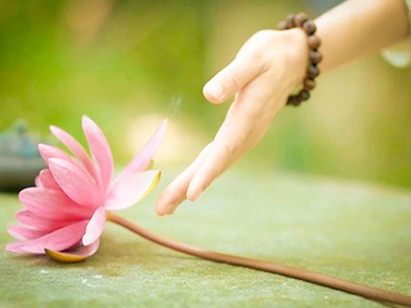 Không giận cá chém thớt chính là sự tu dưỡng khôn ngoan nhất - Hình 2 Khong gian ca chem thot chinh la su tu duong khon ngoan nhat-Hinh-2