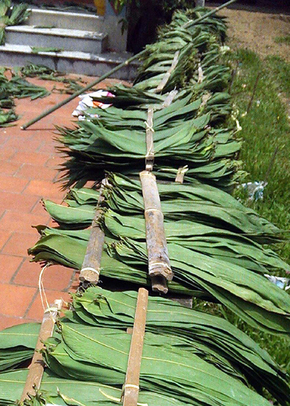 La tre bo di, xuat ban nuoc ngoai thu bon tien-Hinh-3