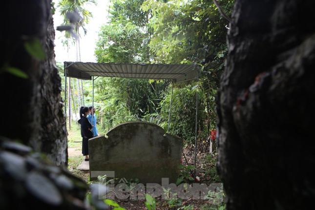 Người dân coi gốc thị như một "bảo bối" bảo vệ họ, bảo vệ mảnh đất họ đang an cư lạc nghiệp.