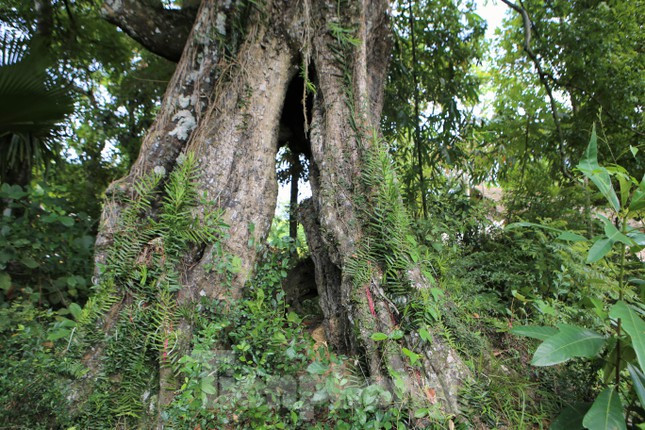 Năm 1425, biết tin thủ lĩnh nghĩa quân Cốc Sơn Nguyễn Tuấn Thiện dấy binh khởi nghĩa ở vùng núi Hương Sơn, Lê Lợi đã tìm đến chiêu quân, kết nghĩa anh em.