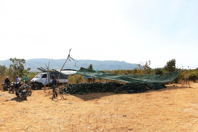 Sat Tet, dua hau giai cuu xuong duong-Hinh-7