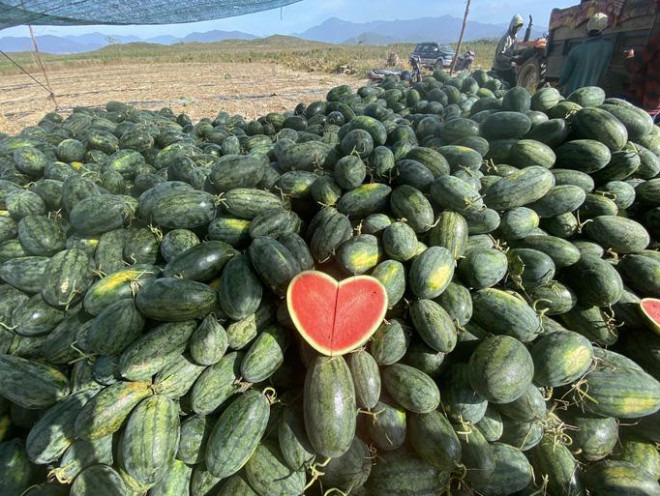 Sat Tet, dua hau giai cuu xuong duong-Hinh-9