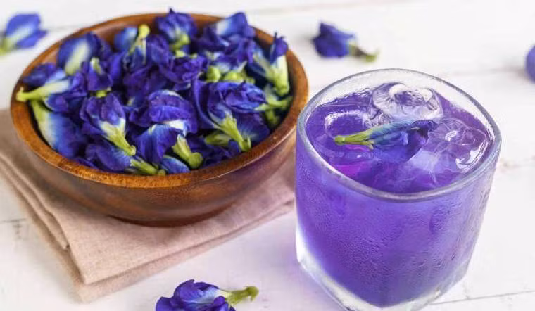 4 loai nuoc la tu nhien re beo nhung la than duoc giup giai doc-Hinh-3