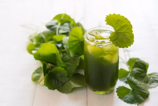 4 loai nuoc la tu nhien re beo nhung la than duoc giup giai doc