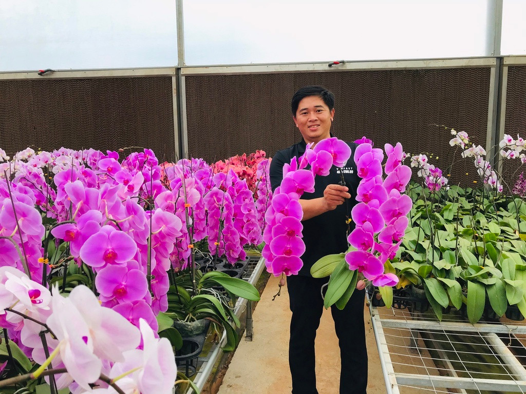 Hoa Trung Quoc lan at hoa Viet dip can Tet-Hinh-3