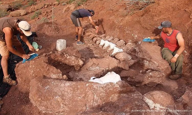 Phat hien thay hoa thach khung long khong lo 98 trieu nam tuoi