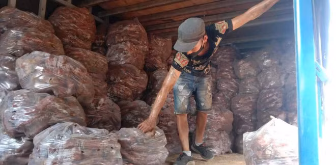 Nghe trong khoai lang Nhat lai ca tram trieu dong/ha-Hinh-2