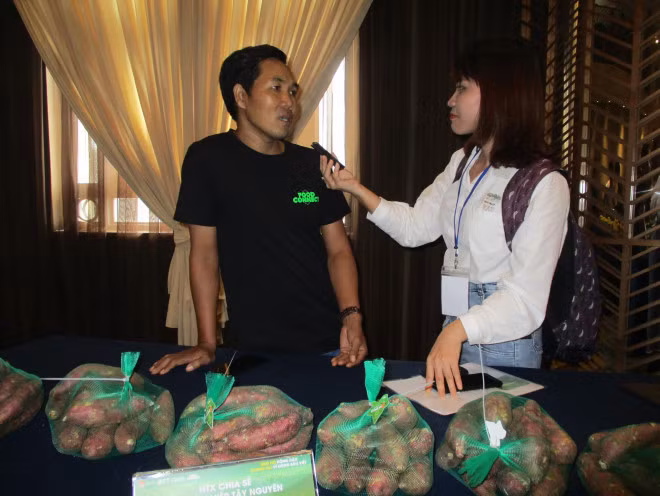 Nghe trong khoai lang Nhat lai ca tram trieu dong/ha