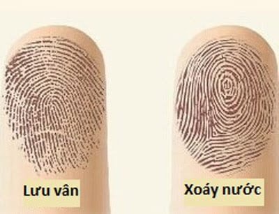 Cam ban tay vo, nhin diem nay biet ngay co ay co menh quy nhan