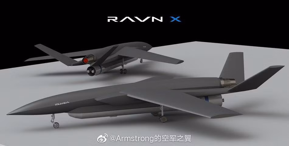Ravn X có trọng lượng gần 25 tấn, dài 24 m và chiều rộng sải cánh là 18 m. Rayn X rất khác biệt so với các hệ thống phóng trên không (air launch) như Pegasus của Northrop Grumman và LauncherOne của Virgin Orbit.