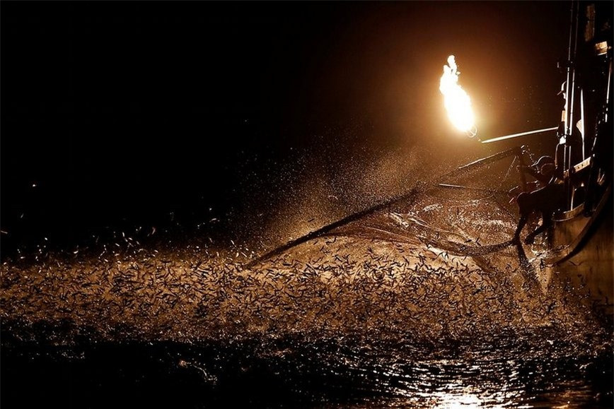 Độc đáo nghề đánh cá bằng lửa ảnh 3