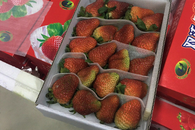 Phat hien dau tay Trung Quoc nhap lau vao Da Lat bang duong hang khong