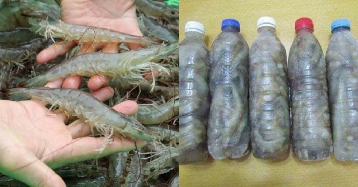 Tru dong tom theo cach nay ca thang van tuoi ngon, khong bi den dau-Hinh-2