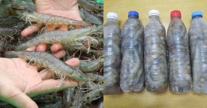 Tru dong tom theo cach nay ca thang van tuoi ngon, khong bi den dau-Hinh-2