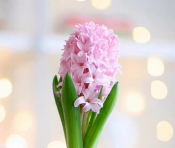 Ai sinh vao ngay am lich nay, tu giua thang 9, may man het phan thien ha