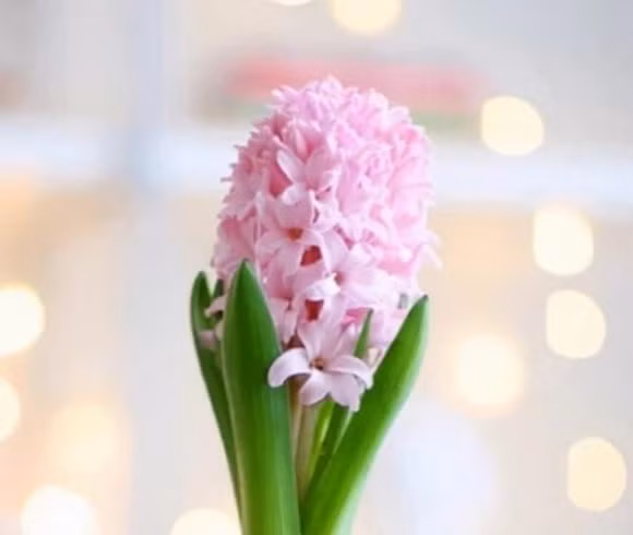 Ai sinh vao ngay am lich nay, tu giua thang 9, may man het phan thien ha