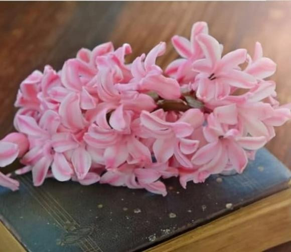 Ai sinh vao ngay am lich nay, tu giua thang 9, may man het phan thien ha-Hinh-4