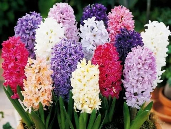 Ai sinh vao ngay am lich nay, tu giua thang 9, may man het phan thien ha-Hinh-2