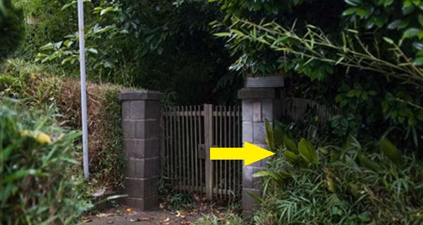 Trong nha xuat hien 4 dac diem: Gia chu lam an ngay cang khon kho