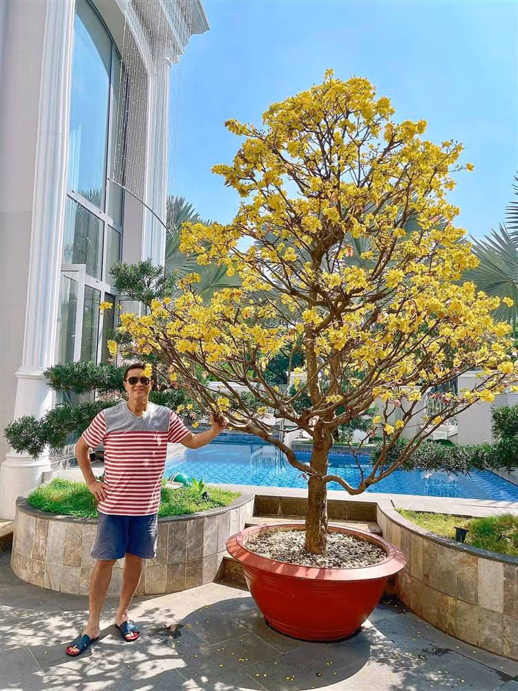 Boc gia hoa trong biet thu cua vo chong Bao Thy-Hinh-2