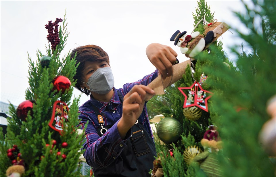 Chị Phạm Mỹ Khanh - Chủ vườn cây trên đường Nguyễn Thị Thập, quận 7, TPHCM chia sẻ, năm nay đơn hàng Noel đến sớm hơn, kể từ tháng 10 các đơn hàng đặt mua sơn tùng trang trí Noel đã xuất hiện. "Các năm trước đó thì mình bán cây thông giả, năm nay là năm thứ 2 mình kinh doanh cây thật. Cây thật thì sau khi chơi Noel xong qua 2 tháng mình để trong nhà cũng không sao hết, sau đó thì nên mang ra ngoài để cây được đón ánh sáng, cây sẽ vẫn tiếp tục lớn rồi sang năm có thể chơi tiếp"- Chị Khanh chia sẻ.