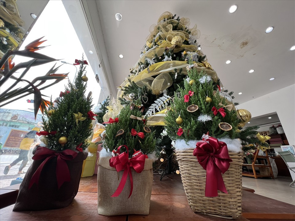 Hiện các sản phẩm từ cây tùng mini, cành thông tươi, cây thông nhựa... được cửa hàng này bán với giá từ 500.000 đồng - 30 triệu đồng/cây. "Hiện chúng tôi đã nhận được một số đơn hàng đặt trước của khách hàng. Cửa hàng chúng tôi chủ yếu nhận đặt mua online. Trung bình khách hàng hay lựa chọn mức giá khoảng 5 triệu đồng"- Anh Dương chia sẻ.