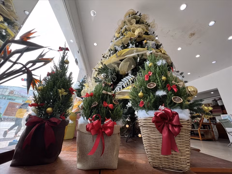 Hiện các sản phẩm từ cây tùng mini, cành thông tươi, cây thông nhựa... được cửa hàng này bán với giá từ 500.000 đồng - 30 triệu đồng/cây. "Hiện chúng tôi đã nhận được một số đơn hàng đặt trước của khách hàng. Cửa hàng chúng tôi chủ yếu nhận đặt mua online. Trung bình khách hàng hay lựa chọn mức giá khoảng 5 triệu đồng"- Anh Dương chia sẻ.