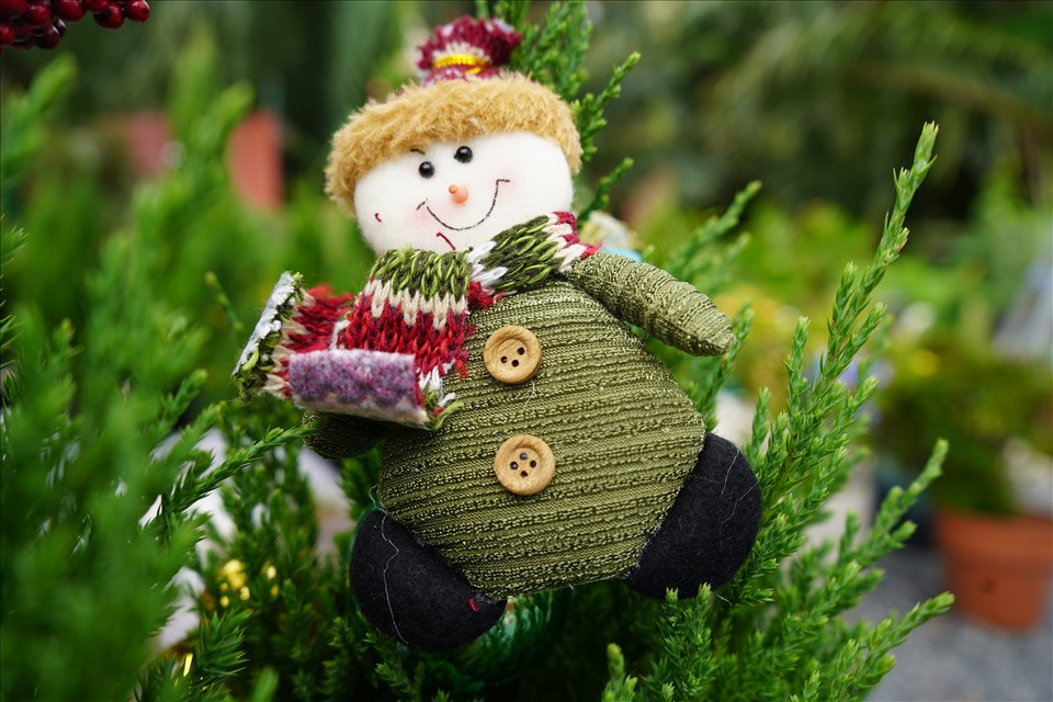 "Đa phần ở đây mình sẽ lên mẫu trang trí sẵn hoặc nhận theo đơn đặt hàng đặc biệt của khách, cũng có những khách họ thích mua cây và tự trang trí. Khách đặt số lượng lớn thì sẽ đặt trước, còn nếu bán lẻ thì lúc nào mình cũng có sẵn đủ kích cỡ"- Chị Khanh chia sẻ.