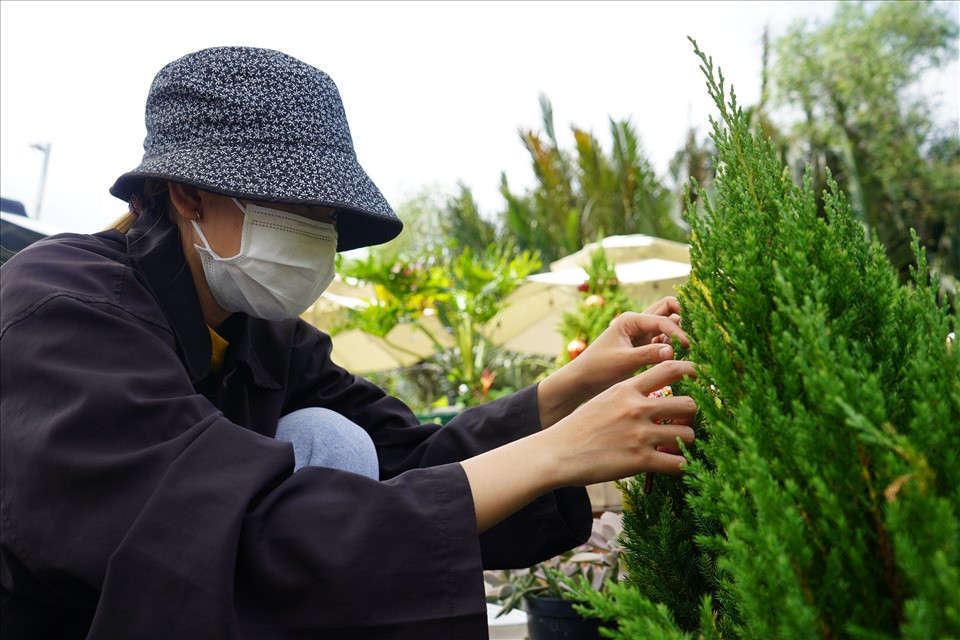Chị Lê Thị Diễm, nhân viên, đang tỉa cây trước khi bắt đầu trang trí theo đơn đặt hàng của khách. Phần lớn các khách tìm mua thông, tùng được trang trí và có giá sẵn trên các trang mạng xã hội và trang website.