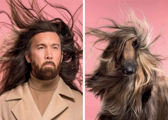 Ngam loat anh chan dung giong nhau ky la giua chu va thu cung-Hinh-14