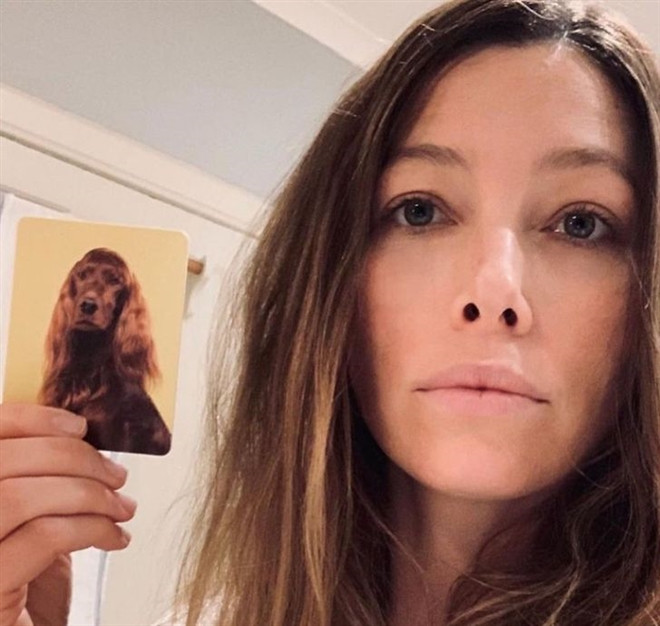 Ngam loat anh chan dung giong nhau ky la giua chu va thu cung-Hinh-20