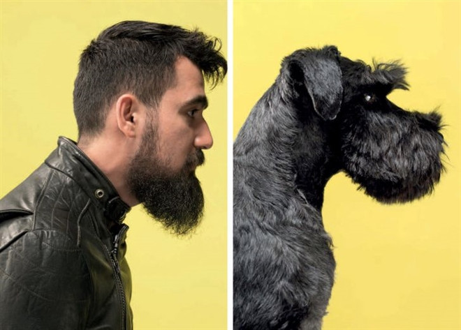 Ngam loat anh chan dung giong nhau ky la giua chu va thu cung-Hinh-13