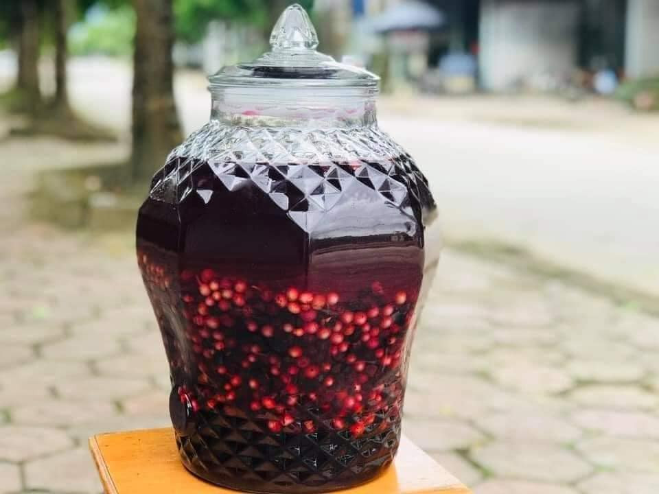 "Mua 1 yến chia ra 3kg để ngâm đường làm siro uống, 7kg thì cho vào ngâm rượu theo tỷ lệ 2 nho - 1 đường. Khi đường tan hết thì đổ ngập rượu và chờ sau 3 tháng là có món rượu nho rừng thơm ngon" - chị nói.