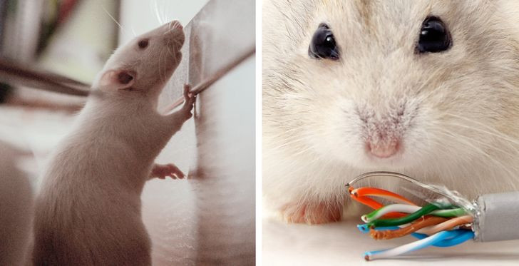 6 dấu hiệu nhà bạn có vấn đề về điện cần khắc phục ngay - Hình 4 6 dau hieu nha ban co van de ve dien can khac phuc ngay-Hinh-4