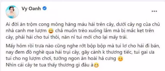 Van Hugo, Vy Oanh phan ung ra sao khi co nguoi hai trom hoa nha minh?-Hinh-3