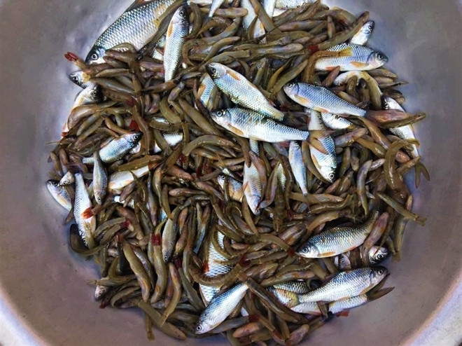 Doc dao banh chung nhan ca suoi o Thanh Hoa-Hinh-2