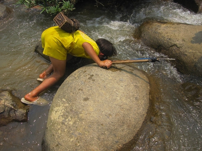 Doc dao banh chung nhan ca suoi o Thanh Hoa-Hinh-4