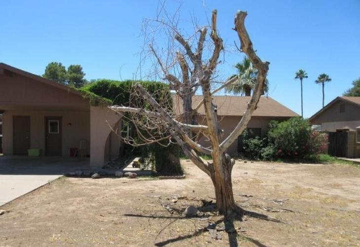 Truoc cong nha khong nen co 3 thu nay, gia dao suy thoai lui bai