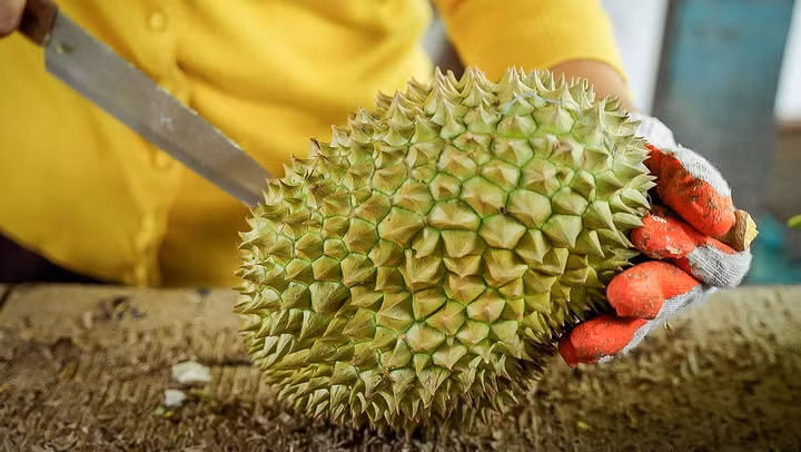 Loai sau rieng nay co gi ma qua re nhat cung co gia ca chuc trieu?