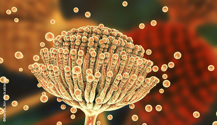 Nếu bánh chưng có dấu hiệu này thì tuyệt đối đừng ăn - Hình 3 Neu banh chung co dau hieu nay thi tuyet doi dung an-Hinh-3