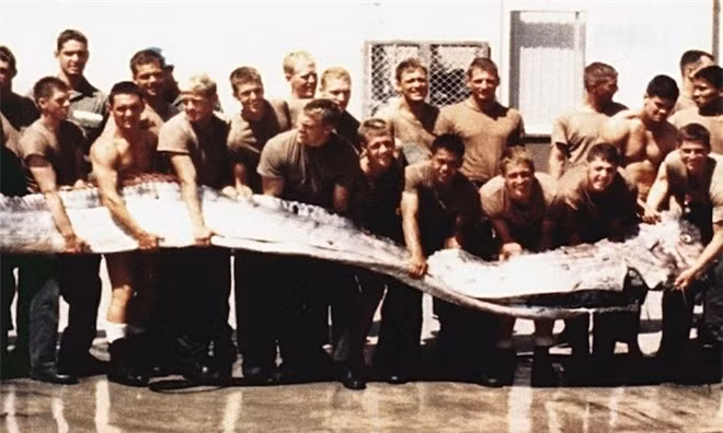 Nhung loai dong vat nao 