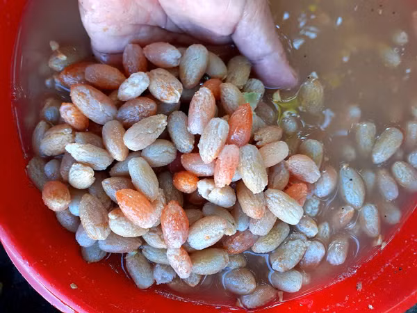 Loai qua thuong bo di, dan lam mut ban gia cao van dat hang-Hinh-3