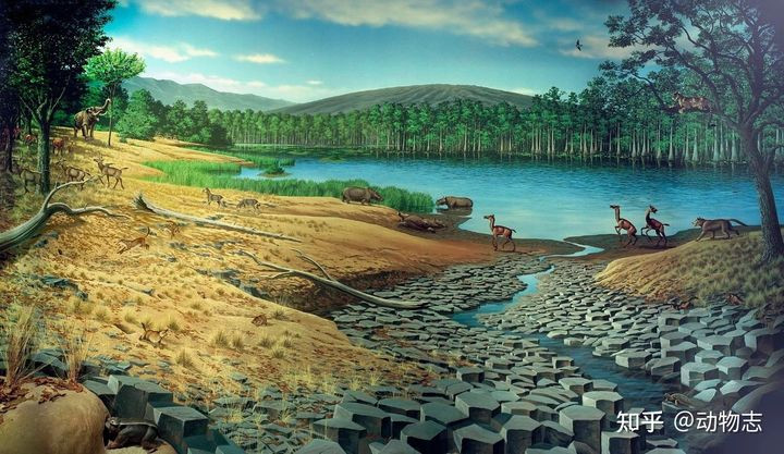 Cuoc chien giua cho va meo da co tu cach day 17 trieu nam-Hinh-7