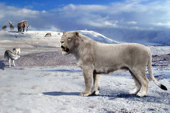 Cuoc chien giua cho va meo da co tu cach day 17 trieu nam-Hinh-12