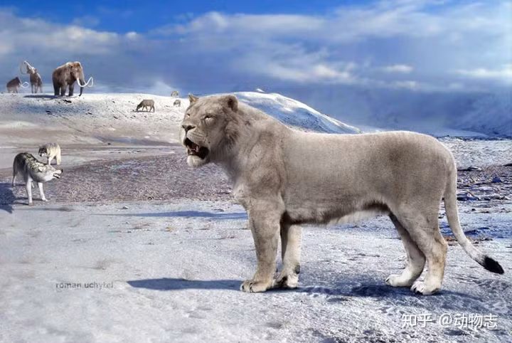 Cuoc chien giua cho va meo da co tu cach day 17 trieu nam-Hinh-12